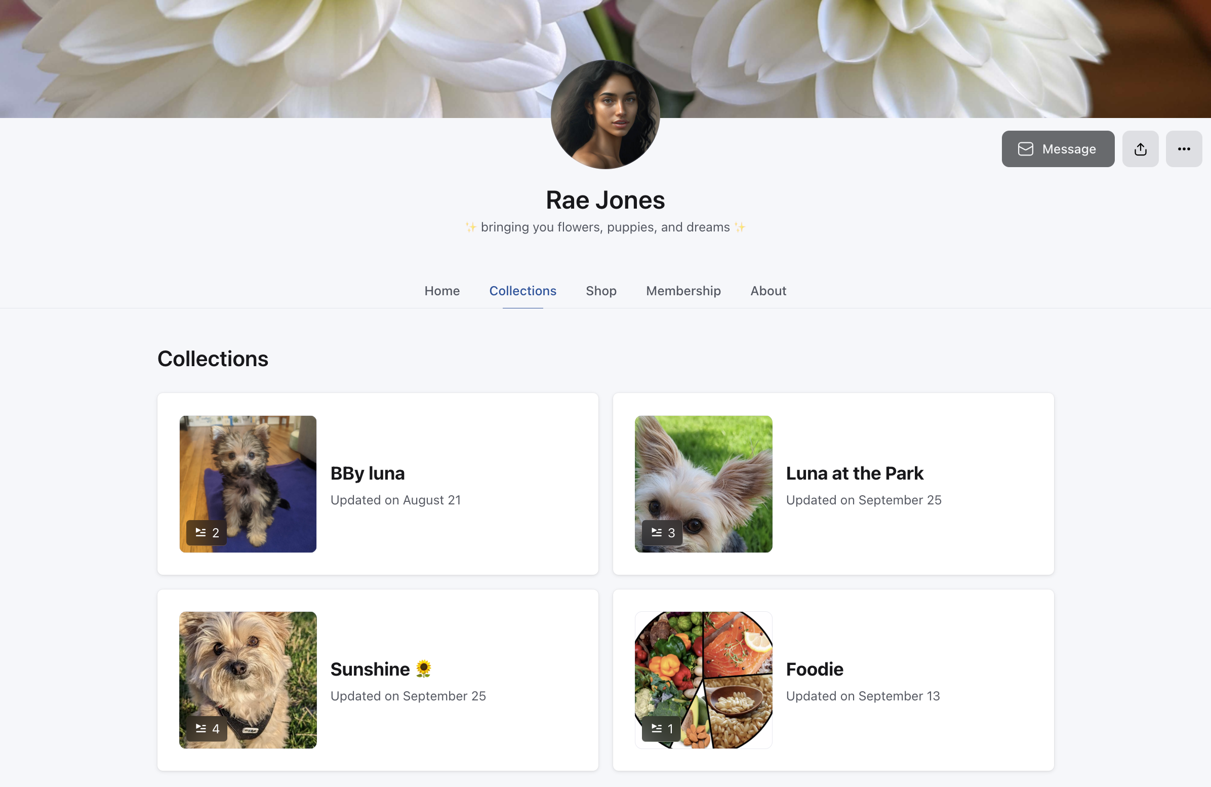 Collections-member-view.png