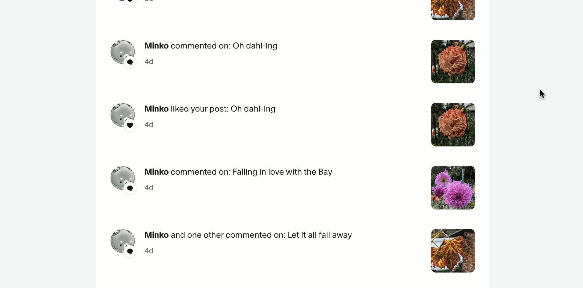 Notifications-management.gif