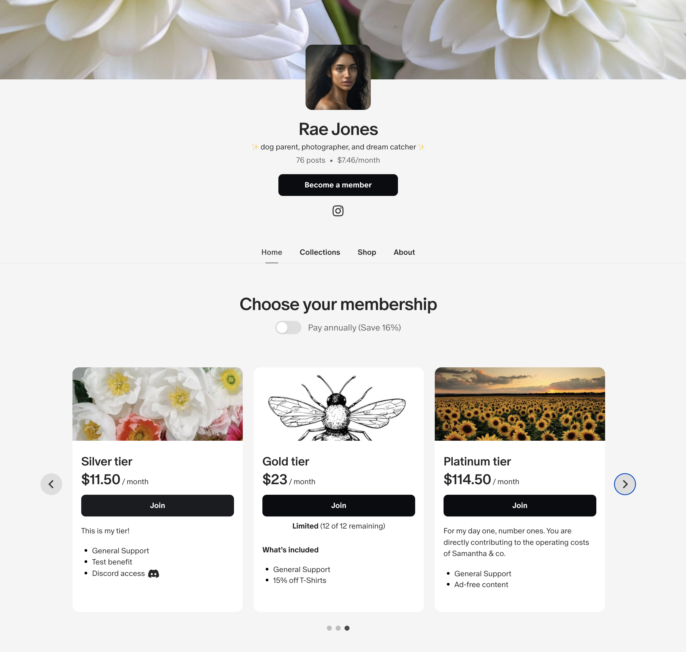 Paid-member-options.png