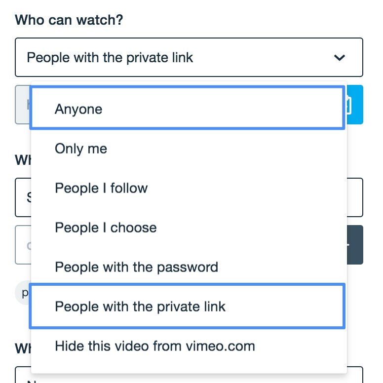 Vimeo1.jpg