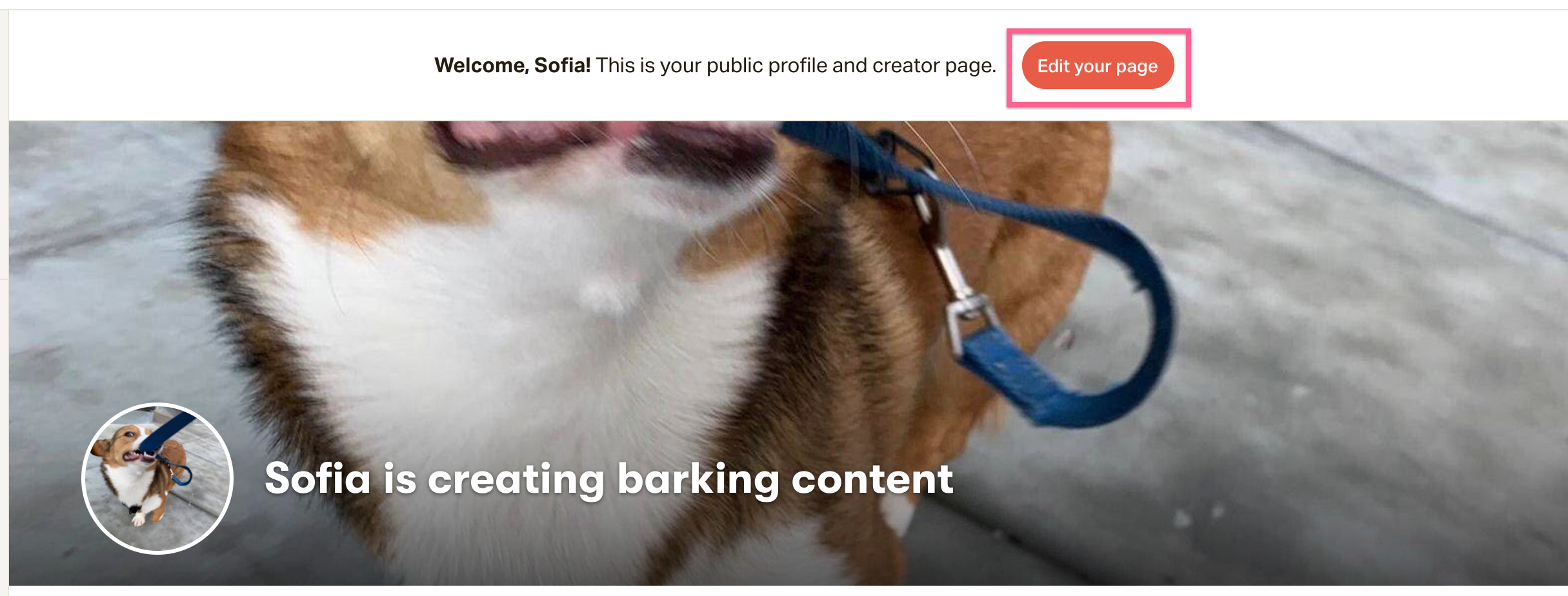 bannerimage.png