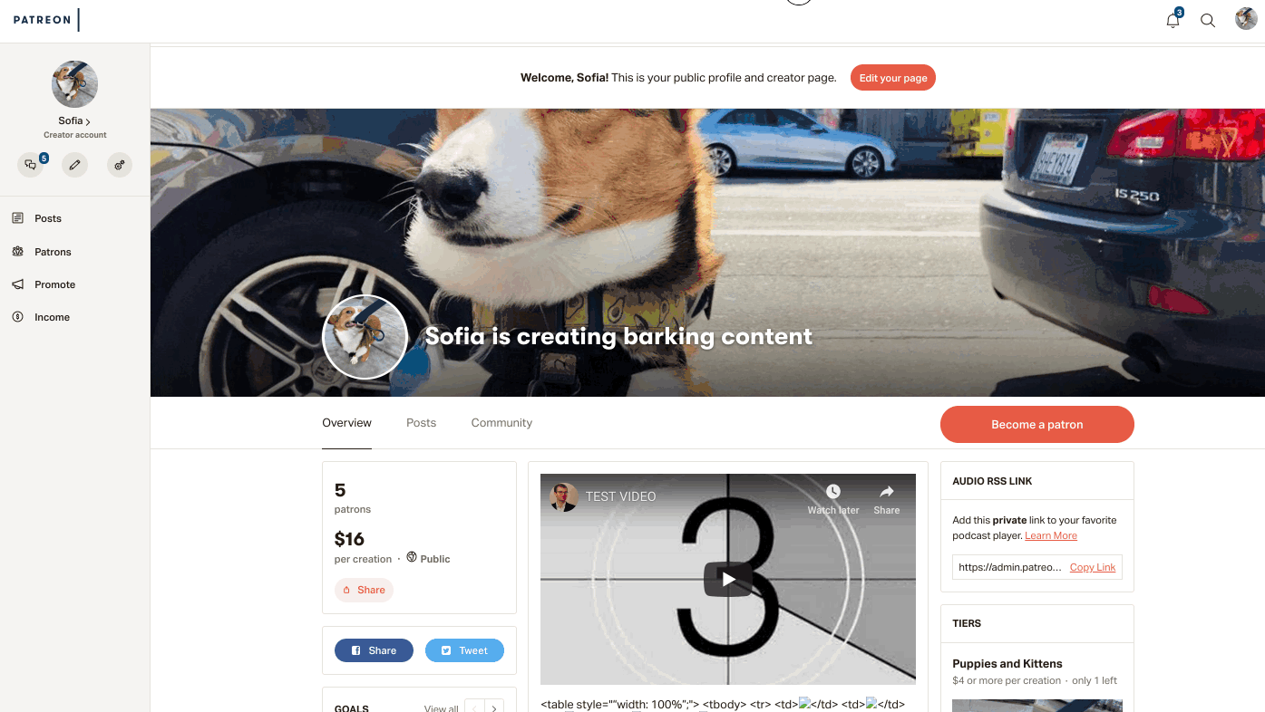 Screen_Recording_2019-03-26_at_07.57_PM.gif